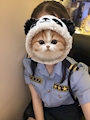 ゆきの
