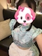 プロフィール写真1・ゆきの|Chloé・クロエ - 大宮/南銀のコンカフェ