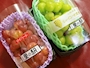 新着ブログ 10月🍇