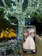 プロフィール写真5・るな@ぷちあか|Puchi miniyon・プチミニヨン - 池袋東口のガールズバー