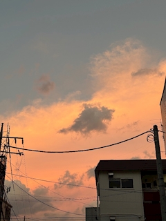 らん