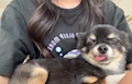 なな