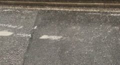 シキ