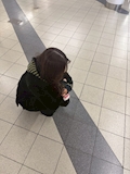 まき