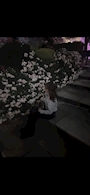 りんか