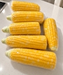 新着ブログ 🌽土曜日🌽