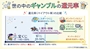 新着ブログ 内勤ブログ⦅63⦆ギャンブルの還元率