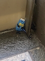 新着ブログ お久しぶりです!