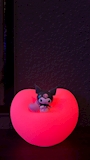 新着ブログ 💗くろみ💗