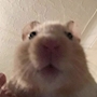 まつだ