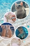 プロフィール写真10・🐈⬛ 𝖱𝗂𝗈𝗇𝖺 🐾|CLUB RICH・リッチ - 三重 四日市のキャバクラ