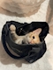 プロフィール写真6・🐈⬛ 𝖱𝗂𝗈𝗇𝖺 🐾|CLUB RICH・リッチ - 三重 四日市のキャバクラ