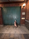 ことね