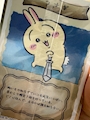 chiko