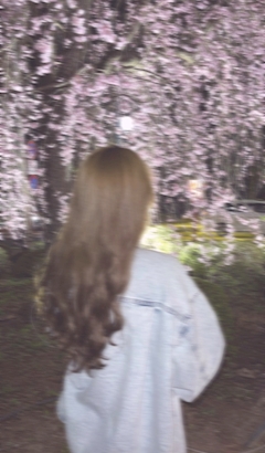 プロフィール写真1・まい|GARDEN・ガーデン - 郡山駅前のキャバクラ