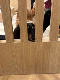 るか