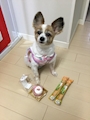 ひろえ