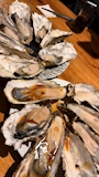 新着ブログ 牡蠣🦪