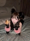 プロフィール写真2・白咲　聖恋｜Verxina・ヴィルシーナ - 名古屋 錦のキャバクラ