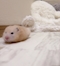 プロフィール写真5・めい｜めいぷる - 名古屋 栄のコンカフェ