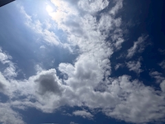 みどり