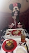 プロフィール写真7・まりん|アイドル学園 K-CLASS 大阪梅田店・ケークラス - 堂山町のコンカフェ