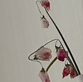 なし