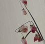 なし
