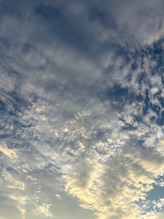 ぐっもーにん☀️