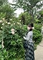 しおり