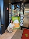 プロフィール写真2・りり｜BALZUR FUKUOKA・バルズール - 中洲のキャバクラ