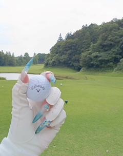 りんね