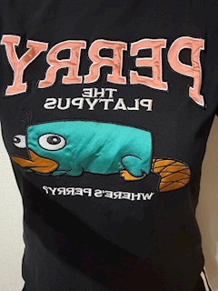 渚海