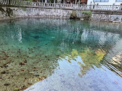 のあ