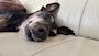 彩colour