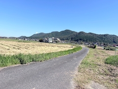 りり
