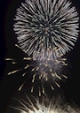 新着ブログ 🎆🎇🎆