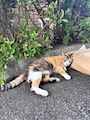 新着ブログ 初めてのブログ!