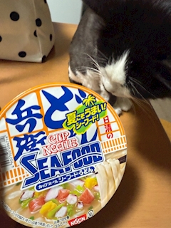 そら「しゅᕷ」