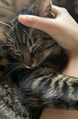 *