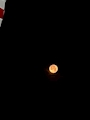 新着ブログ 🌙