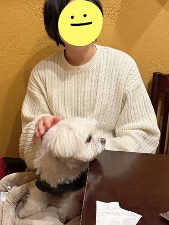 くらげ NEO GIRLS BAR 猪鹿蝶 艶