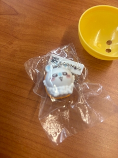 練習しました