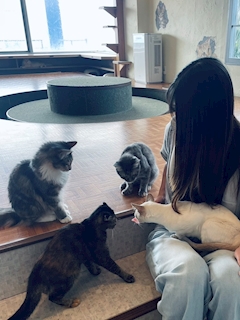 プロフィール写真1・みさ｜CAFE&BAR mgrry 船橋店・ミリー - 京成船橋駅西口のガールズバー