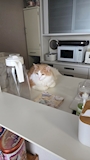 さき