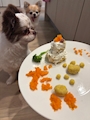 新着ブログ 誕生日お祝い🐶🎂🎉