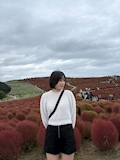 さくら　Runway
