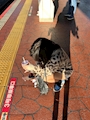 れい