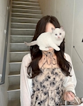 なな