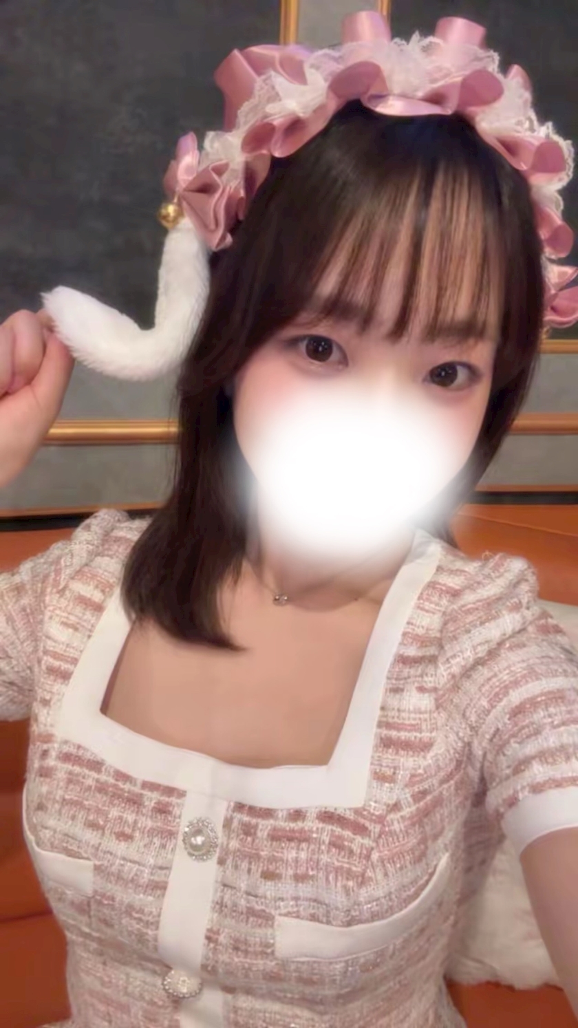 🐰🎀⸝꙳
